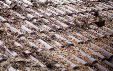 Thornton Hough roof cleaning companies