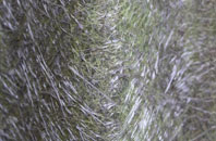 Thornton Hough fibreglass roof work